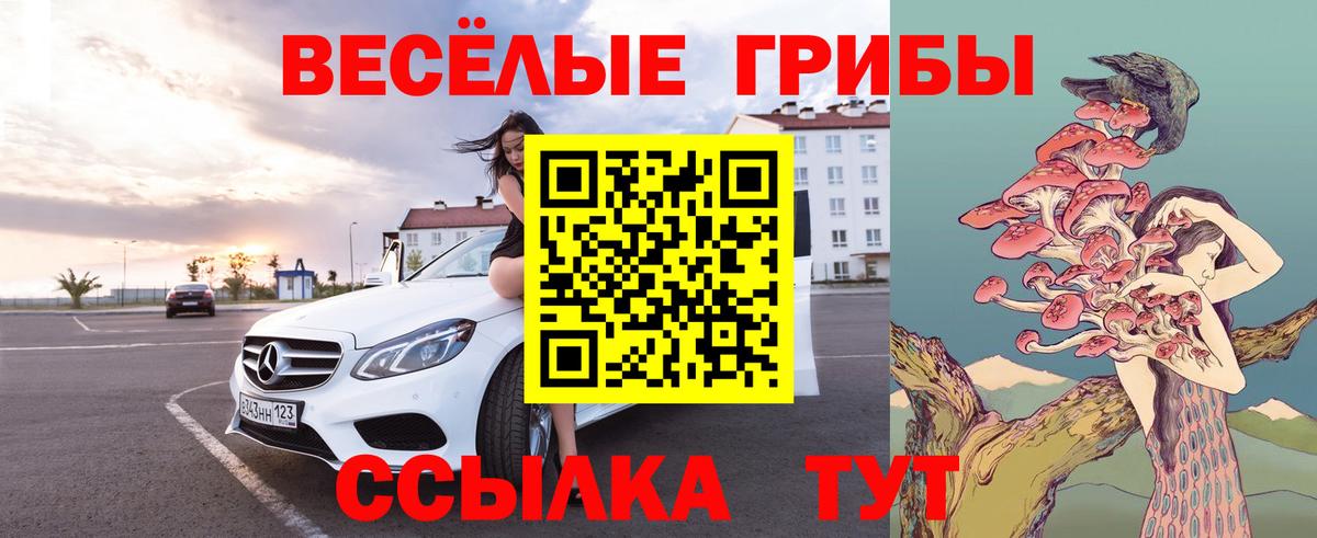 Псилоцибиновые грибы Cubensis  Вход с VPN  Галлюциногенные грибы Psilocybine cubensis  Медногорск 
