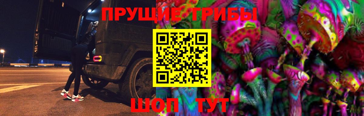 Псилоцибиновые грибы Psilocybine cubensis Медногорск